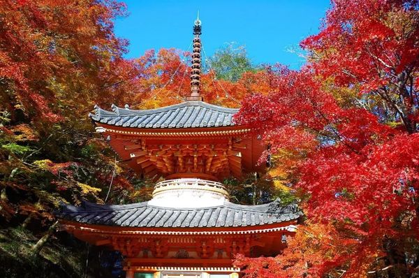 日本高中艺术留学
