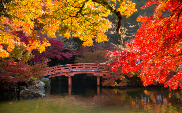 日本留学机构