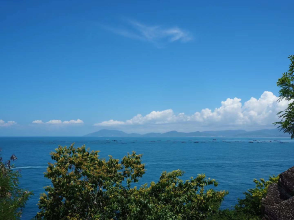 日本艺术留学
