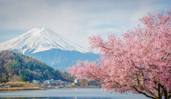 日本艺术留学