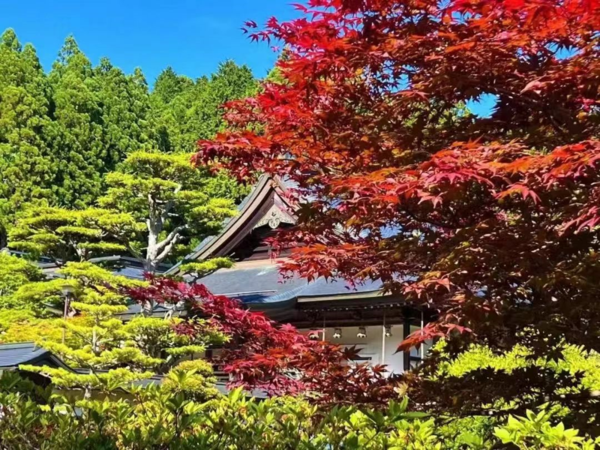 日本高中艺术留学